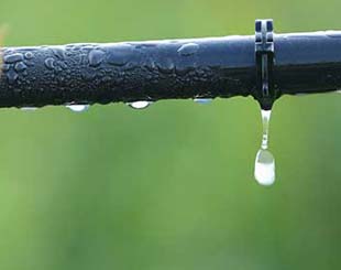 Drip Irrigation