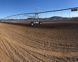 darling-irrigation-dasha-frankel-pivots-thumb